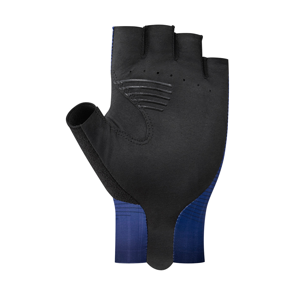 Advanced Racefietshandschoenen