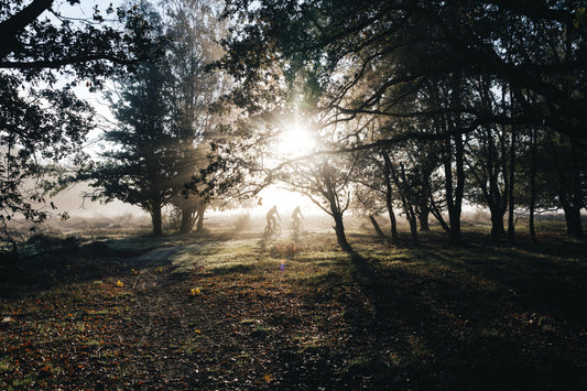 Green Friday: samen groeien met Shimano en Treedom