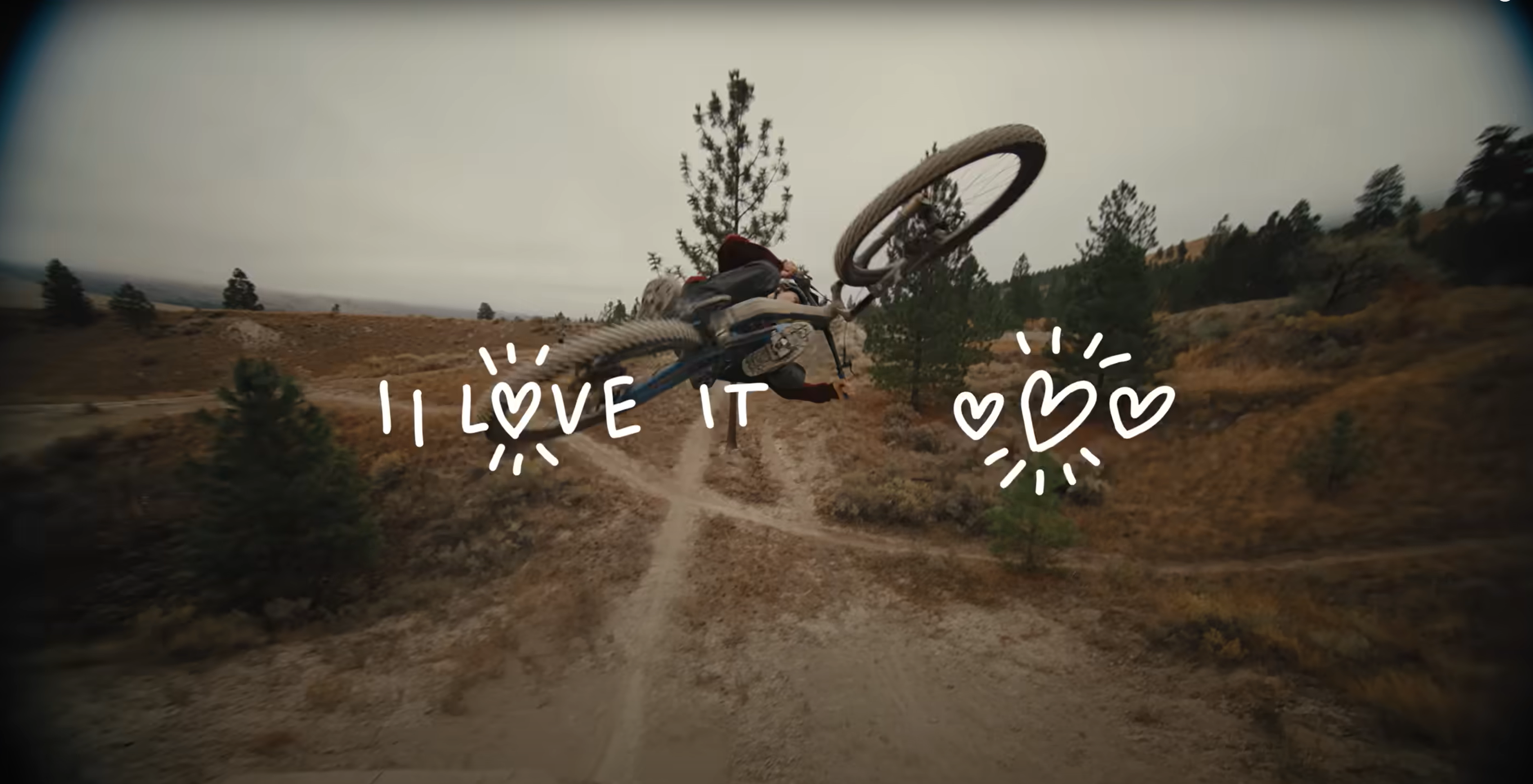 Video laden: cool bus mtb shimano adventure